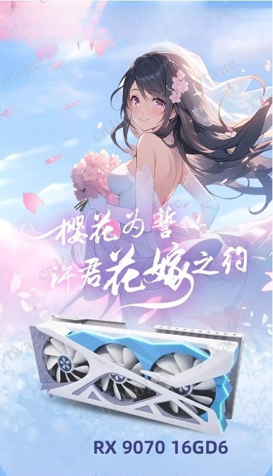 RX 9070 XT Gaming Grafische Ka - Rx 9070 16Gb recensie en prijs